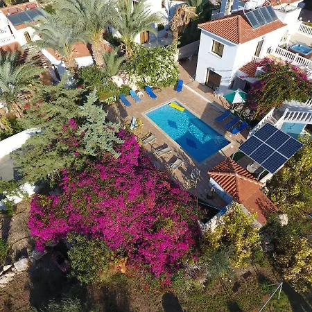 Coral Cypria 4*