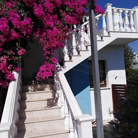 Coral Cypria ホテル